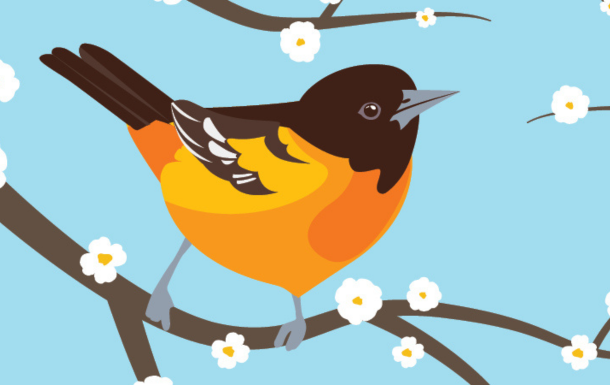 Renew Your Membership During Early Bird